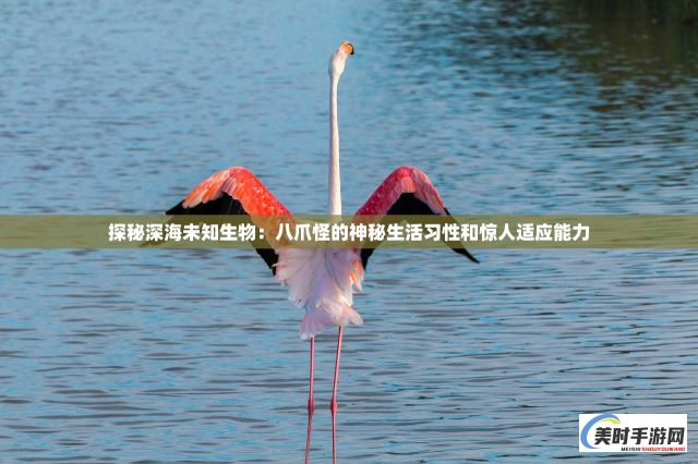 探秘深海未知生物：八爪怪的神秘生活习性和惊人适应能力